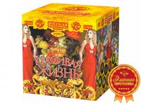 Красивая жизнь Фейерверк купить в Циолковском | ciolkovskij.salutsklad.ru