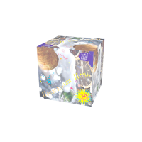 Новогодняя ночь Салют купить в Циолковском | ciolkovskij.salutsklad.ru