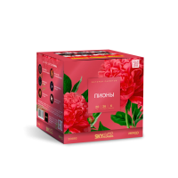 Пионы Салют купить в Циолковском | ciolkovskij.salutsklad.ru