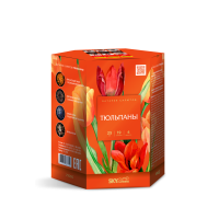 Тюльпаны Салют купить в Циолковском | ciolkovskij.salutsklad.ru