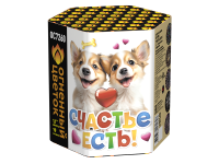 Счастье есть! Салют купить в Циолковском | ciolkovskij.salutsklad.ru