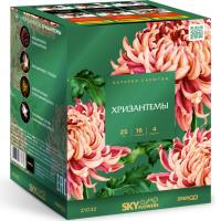 Хризантемы Фейерверк купить в Циолковском | ciolkovskij.salutsklad.ru