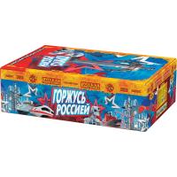 Горжусь Россией! Фейерверк купить в Циолковском | ciolkovskij.salutsklad.ru