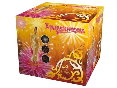 Хризантема Салют купить в Циолковском | ciolkovskij.salutsklad.ru